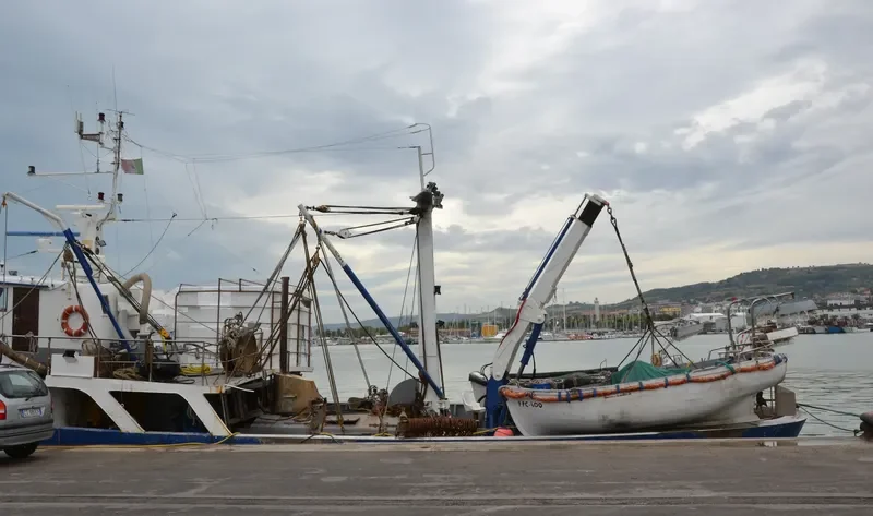 BRIVIDO Fishing Vessel IMO 7110268 photo 5