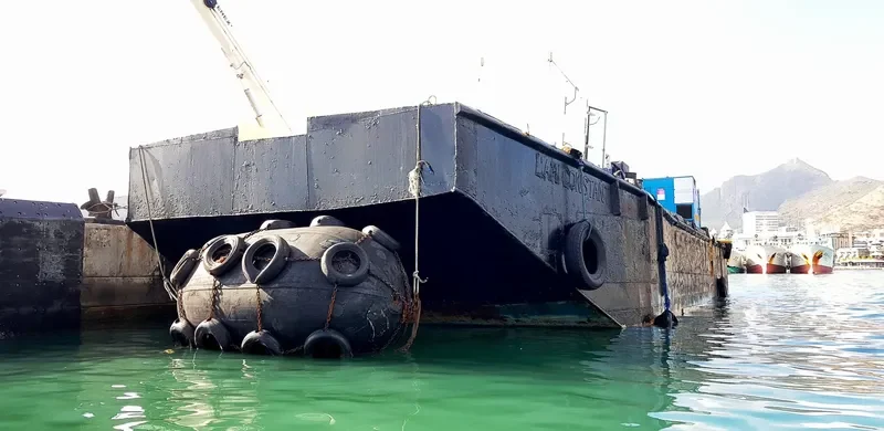 L'AMI CONSTANT General Cargo IMO 7110660 photo 2