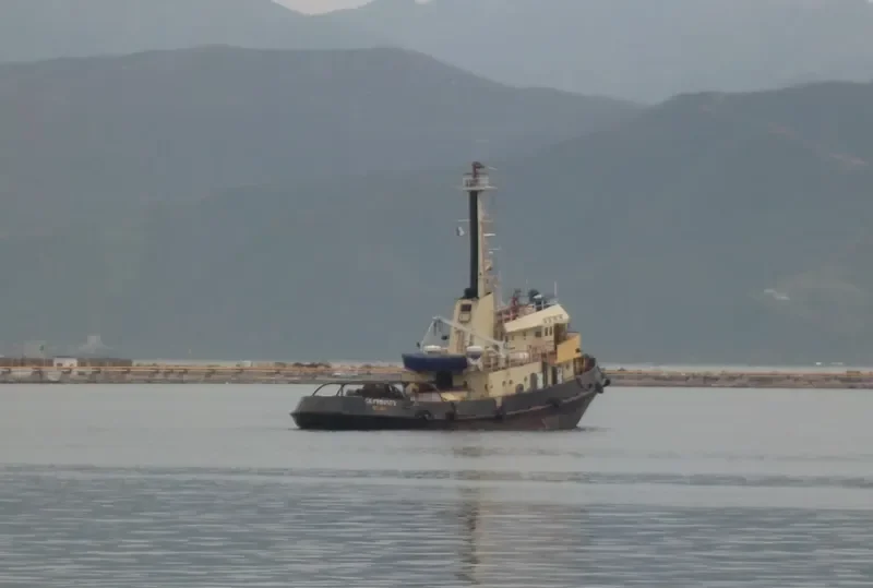 CHELIFF 1 Tug Boat IMO 7111327 photo 4