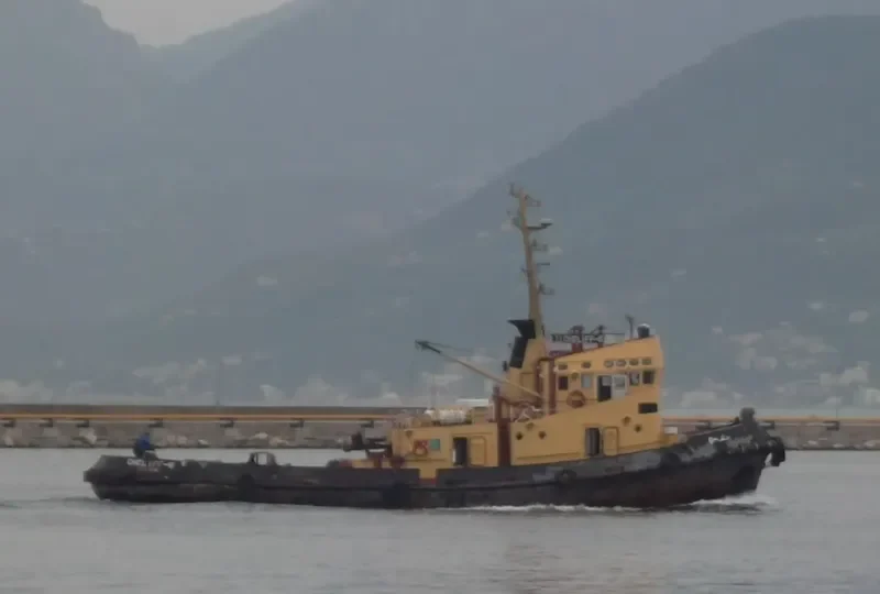 CHELIFF 1 Tug Boat IMO 7111327 photo 5
