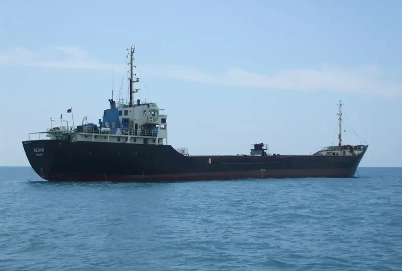 REENVI General Cargo IMO 7111860