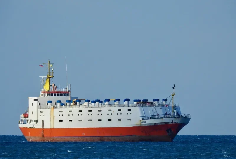 MARIONA General Cargo IMO 7113624