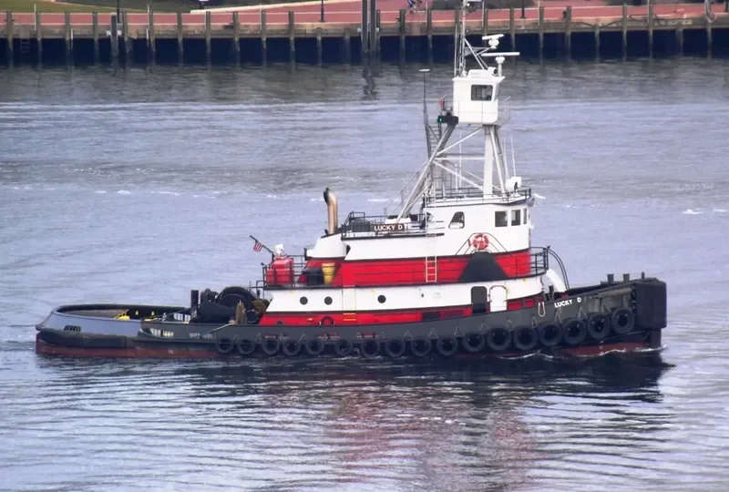 LUCKY D Tug Boat IMO 7114020 photo 9
