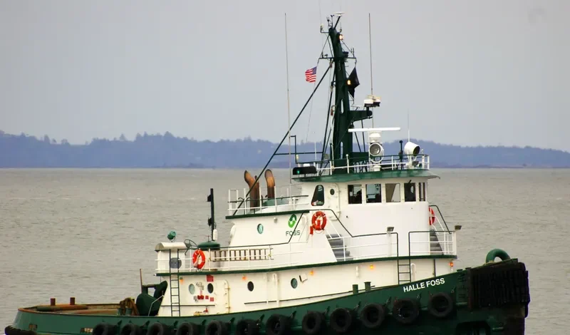 SEABOLD Tug Boat IMO 7114068 photo 7