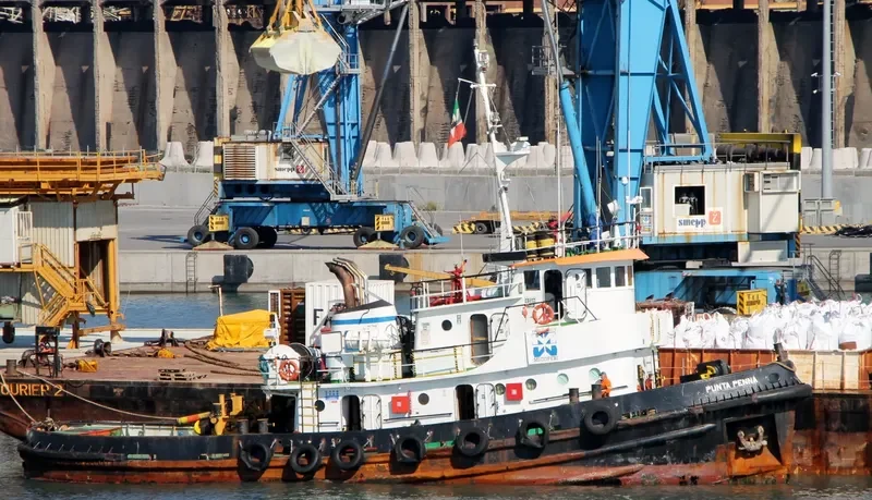 PUNTA PENNA Tug Boat IMO 7114159