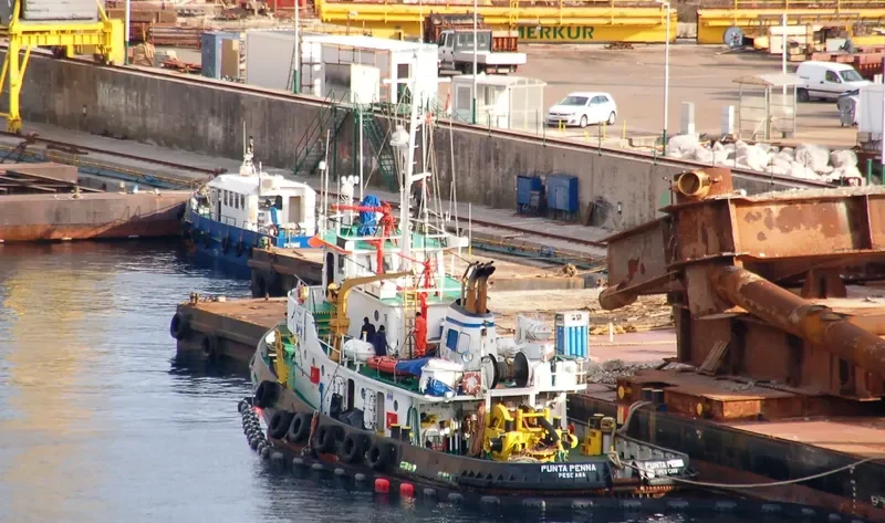 PUNTA PENNA Tug Boat IMO 7114159 photo 2