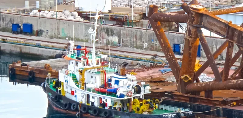 PUNTA PENNA Tug Boat IMO 7114159 photo 3