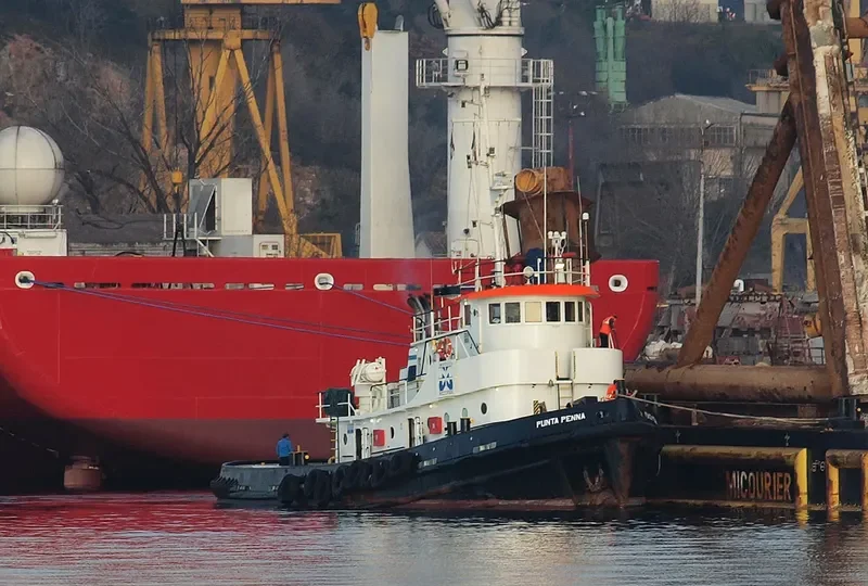 PUNTA PENNA Tug Boat IMO 7114159 photo 4