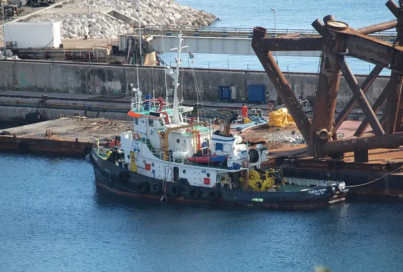 PUNTA PENNA Tug Boat IMO 7114159 photo 6