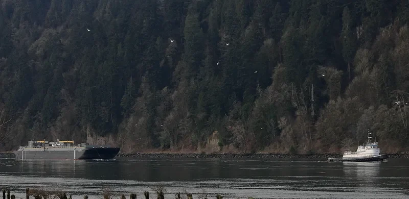 SHIRLEY C Tug Boat IMO 7114288 photo 4