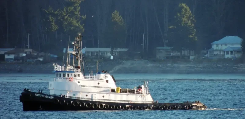 SHIRLEY C Tug Boat IMO 7114288 photo 5