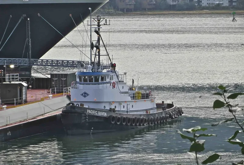 SHIRLEY C Tug Boat IMO 7114288 photo 7