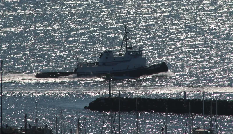SHIRLEY C Tug Boat IMO 7114288 photo 9