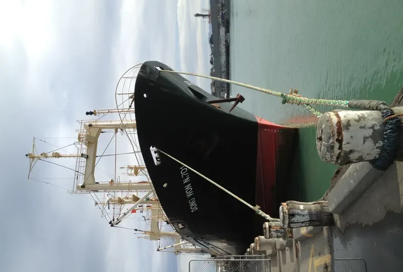 DONG WON 701 General Cargo IMO 7114513 photo 6