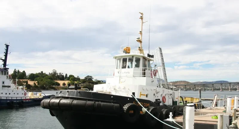 SYDNEY COVE General Cargo IMO 7114745 photo 3