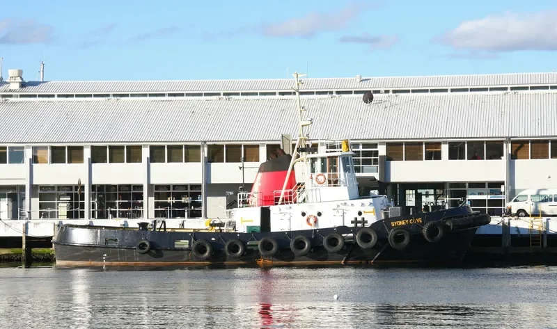 SYDNEY COVE General Cargo IMO 7114745 photo 4
