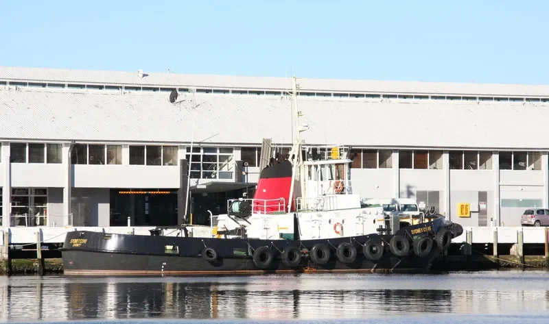 SYDNEY COVE General Cargo IMO 7114745 photo 5