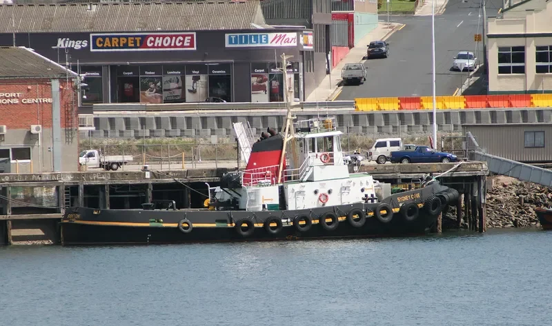 SYDNEY COVE General Cargo IMO 7114745 photo 8