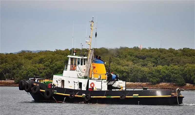 FARM COVE General Cargo IMO 7114757 photo 4