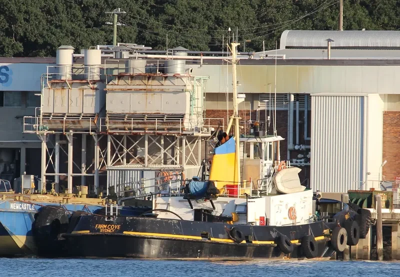 FARM COVE General Cargo IMO 7114757 photo 5