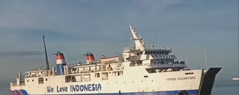 FARINA NUSANTARA Ro-Ro IMO 7116054 photo 4