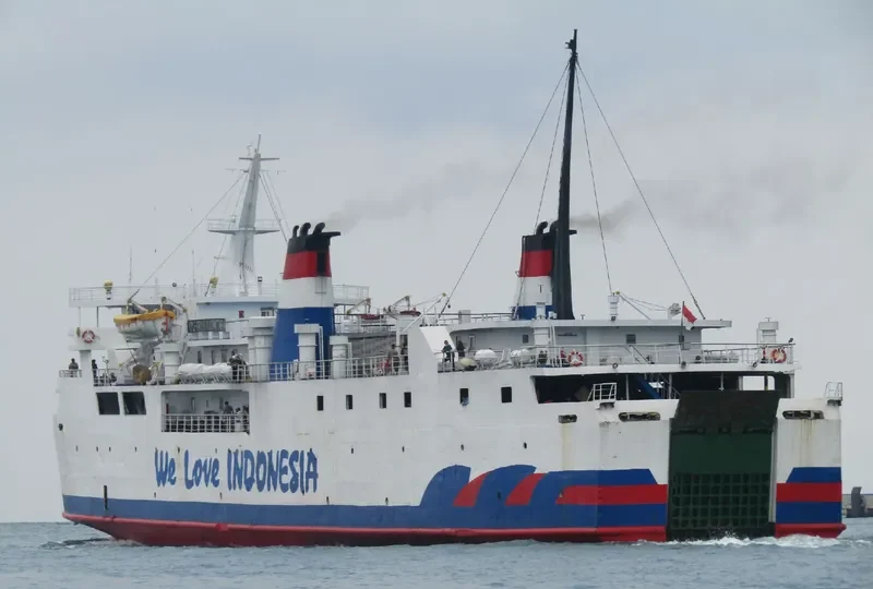 FARINA NUSANTARA Ro-Ro IMO 7116054 photo 5