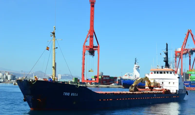 TRIO VEGA General Cargo IMO 7116133