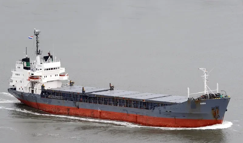 AK DENISA Bulk Carrier IMO 7116781 photo 4