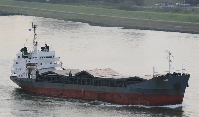 AK DENISA Bulk Carrier IMO 7116781 photo 5