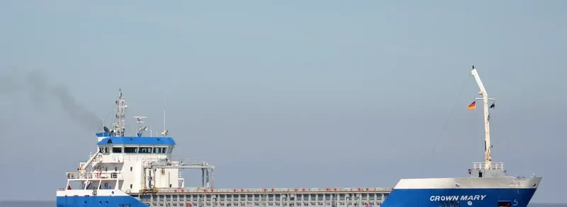 SERENADE Bulk Carrier IMO 7116860 photo 2
