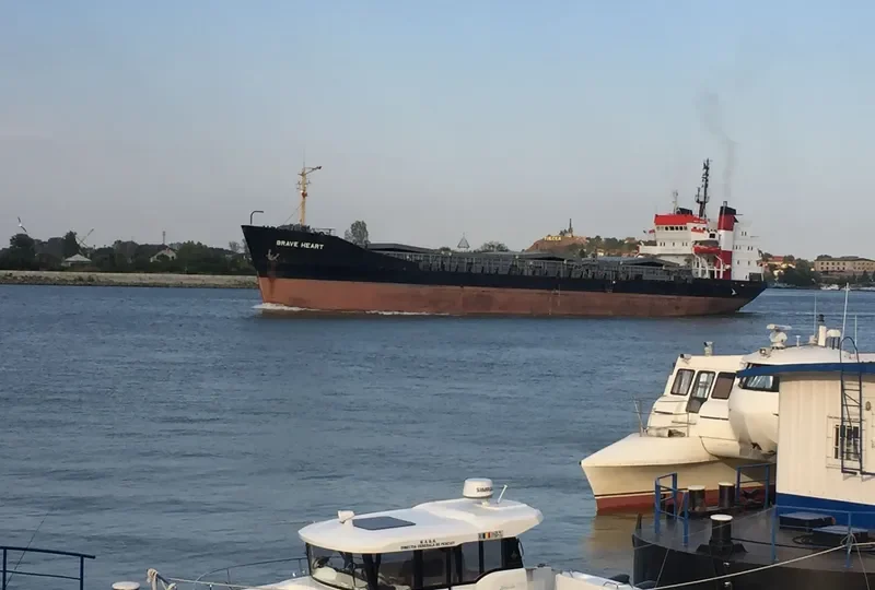 AK BRAVE General Cargo IMO 7117826 photo 4