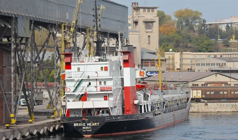 AK BRAVE General Cargo IMO 7117826 photo 6