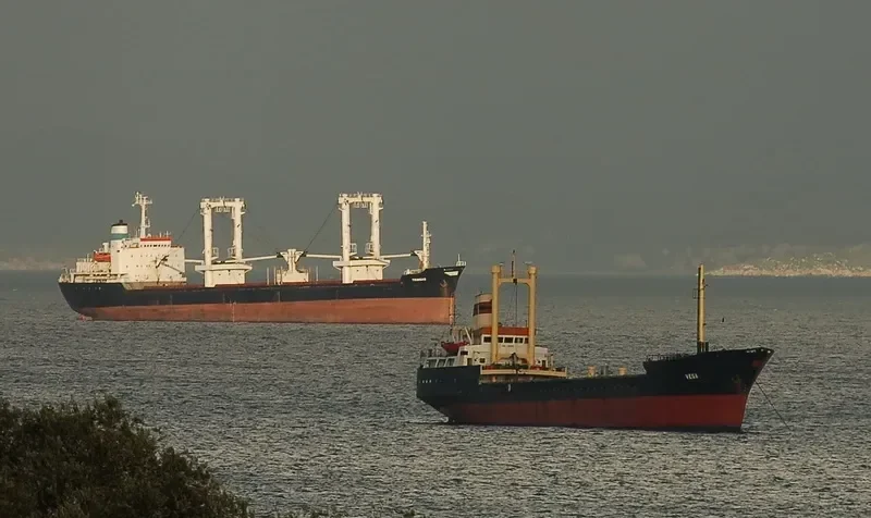 VEGA General Cargo IMO 7118076