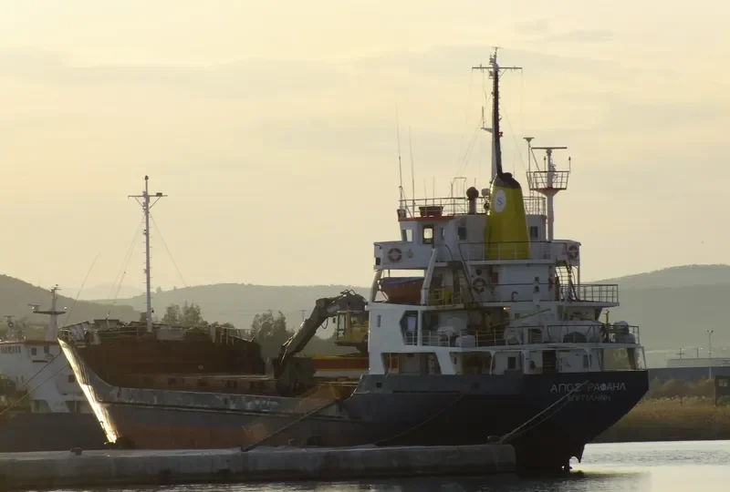 EDARTE General Cargo IMO 7118181