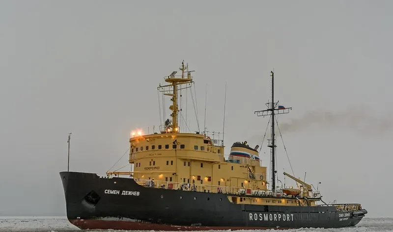SEMYON DEZHNEV General Cargo IMO 7119446
