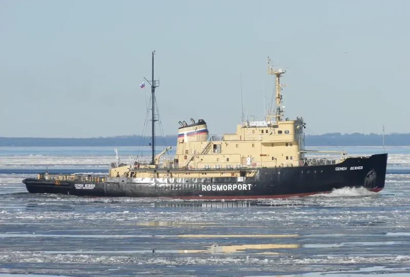 SEMYON DEZHNEV General Cargo IMO 7119446 photo 7