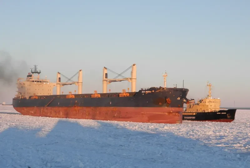 SEMYON DEZHNEV General Cargo IMO 7119446 photo 8