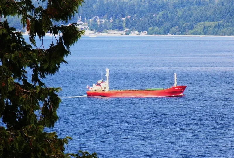COASTAL VENTURE General Cargo IMO 7119678 photo 8