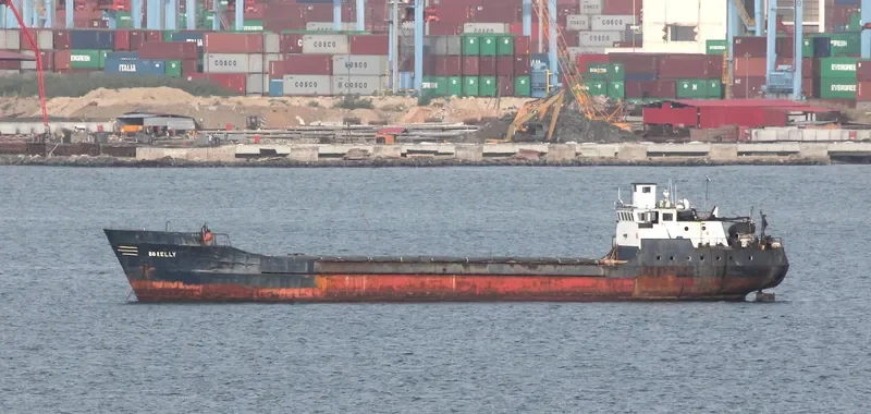 BORELLY General Cargo IMO 7119771 photo 2