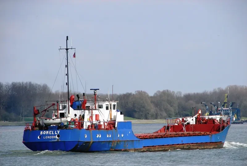 BORELLY General Cargo IMO 7119771 photo 6