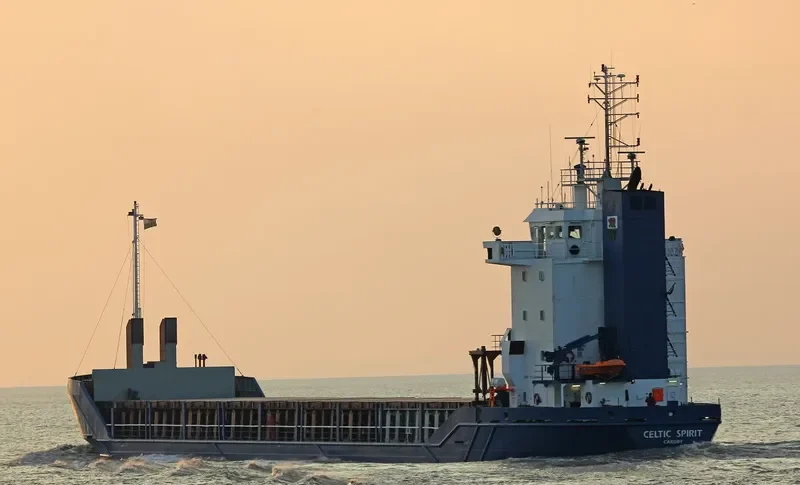 MIRAMAR Bulk Carrier IMO 7120653 photo 2
