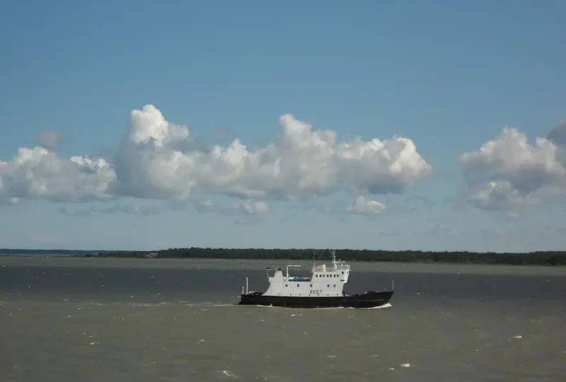 REET Ro-Ro IMO 7120811 photo 5
