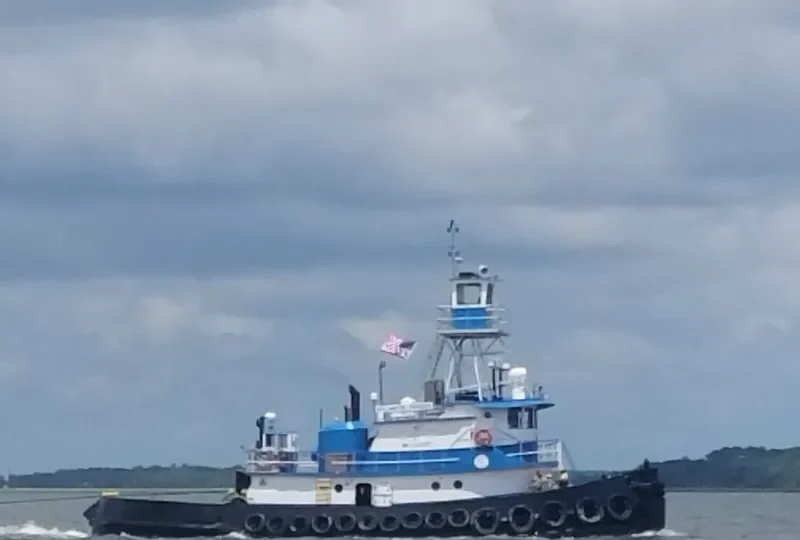 ATLANTIC RAIDER Tug Boat IMO 7121762 photo 2