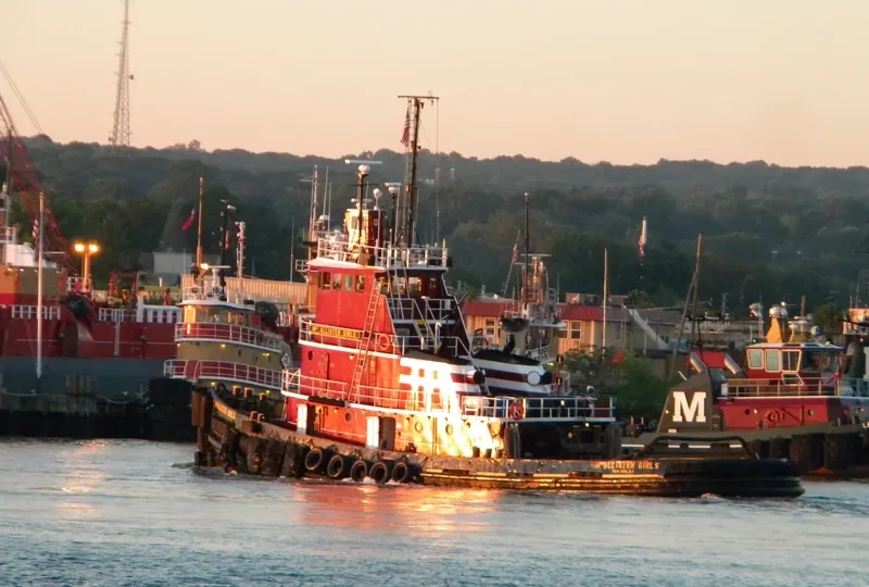 MCALLISTER GIRLS Tug Boat IMO 7121774 photo 10