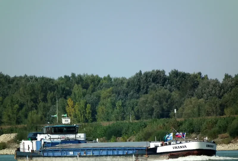 URANIA Car Carrier IMO 7124087 photo 6