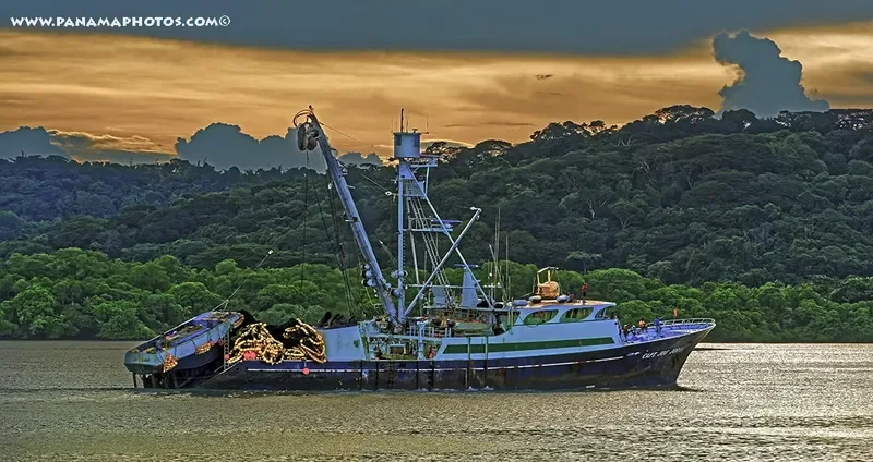 CAPT.JOE JORGE General Cargo IMO 7124996
