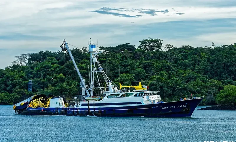 CAPT.JOE JORGE General Cargo IMO 7124996 photo 2