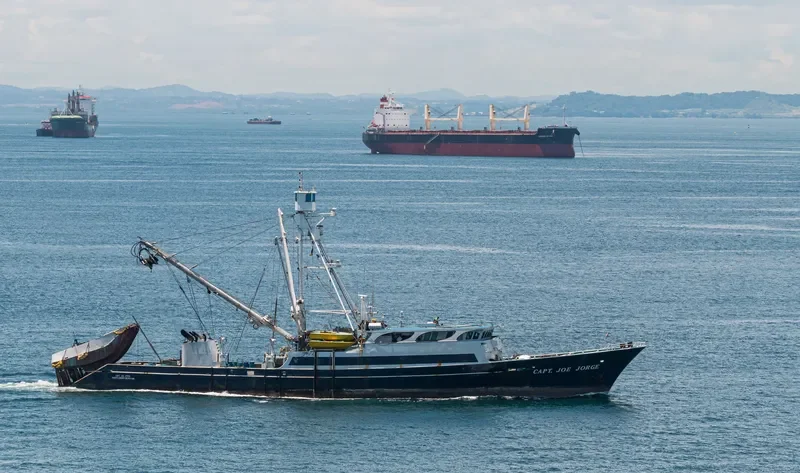 CAPT.JOE JORGE General Cargo IMO 7124996 photo 3