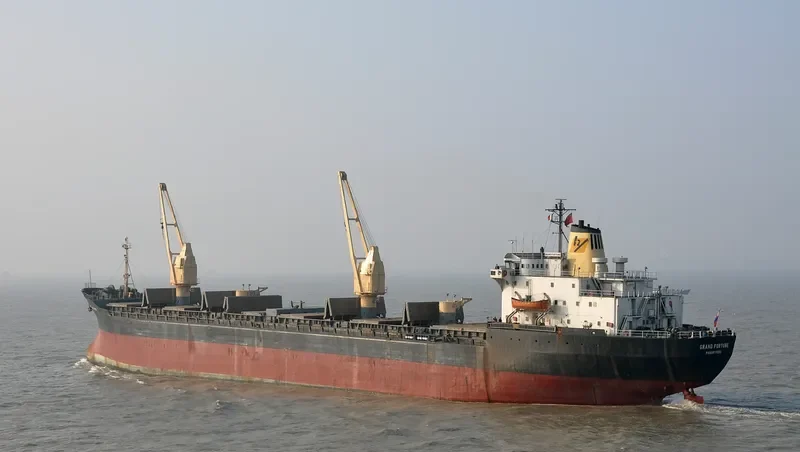 GRAND FORTUNE Bulk Carrier IMO 7125615