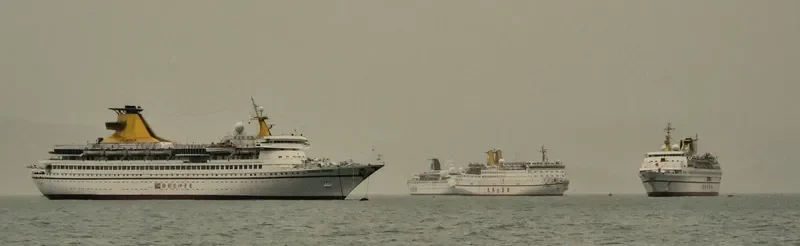 ORIENTAL DRAGON Passenger Ship IMO 7125861 photo 9